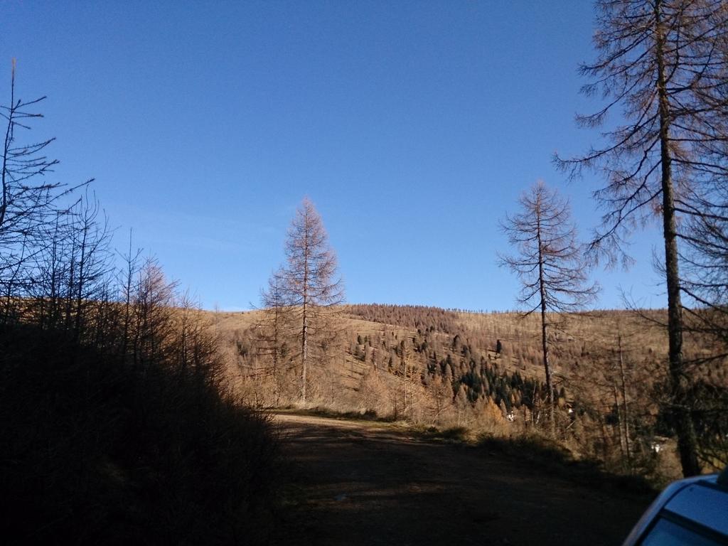 Haus Othmar Schabuss Pensjonat Bad Kleinkirchheim Zewnętrze zdjęcie