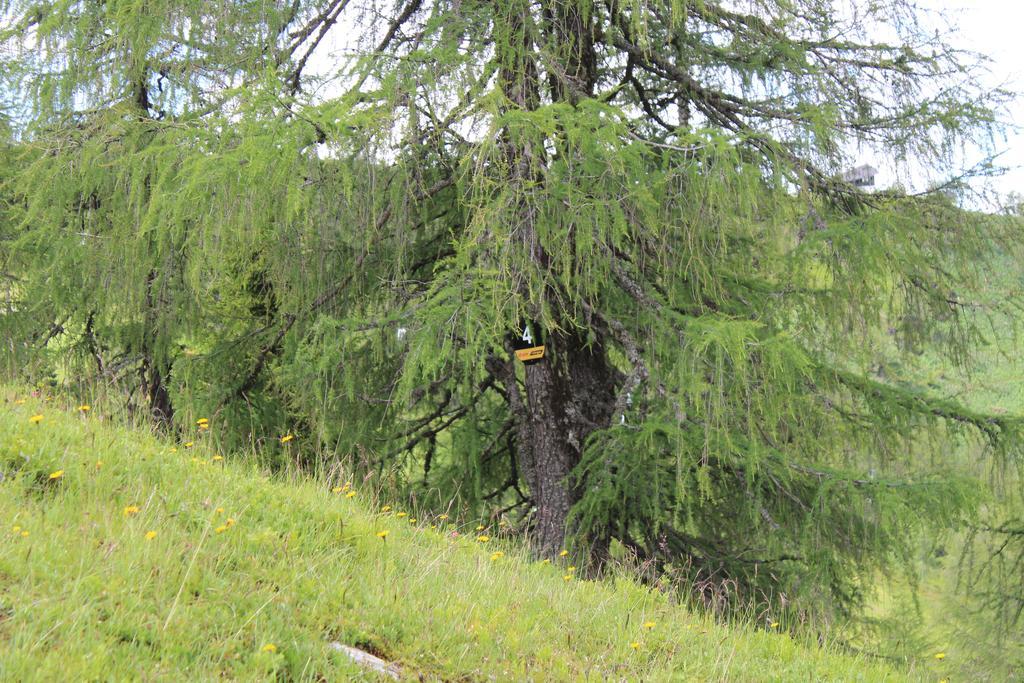 Haus Othmar Schabuss Pensjonat Bad Kleinkirchheim Zewnętrze zdjęcie