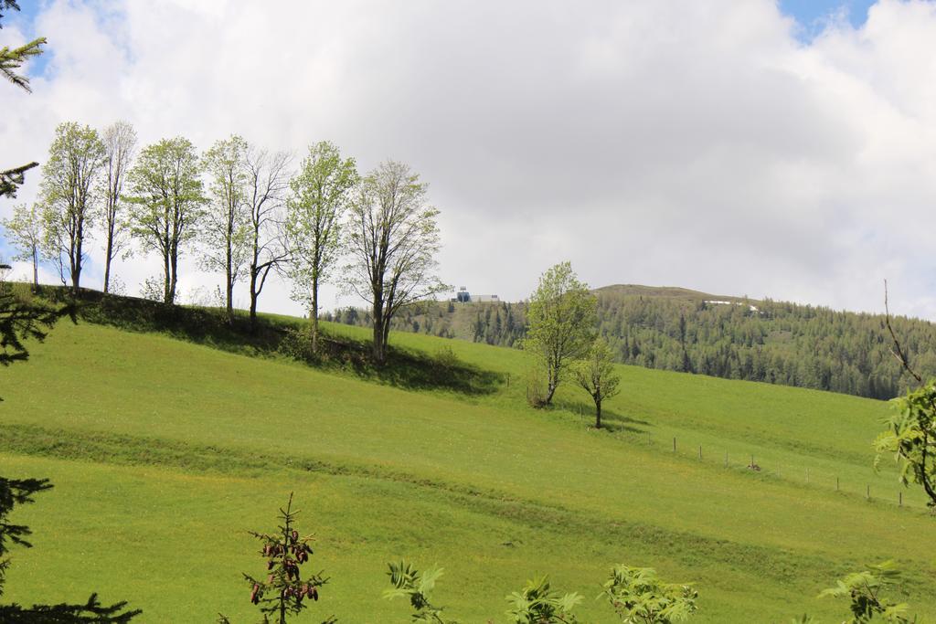 Haus Othmar Schabuss Pensjonat Bad Kleinkirchheim Zewnętrze zdjęcie