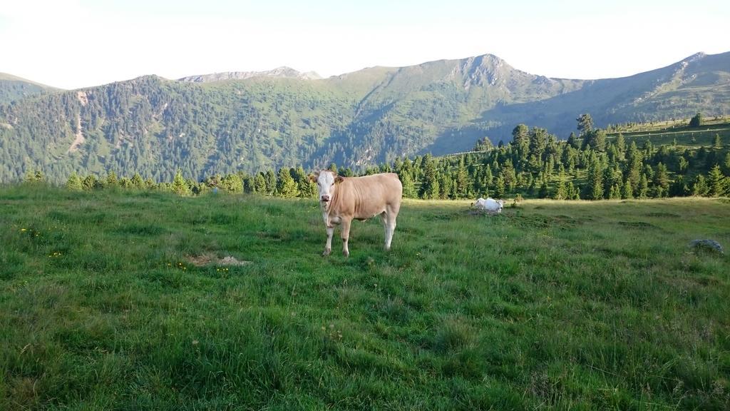 Haus Othmar Schabuss Pensjonat Bad Kleinkirchheim Zewnętrze zdjęcie