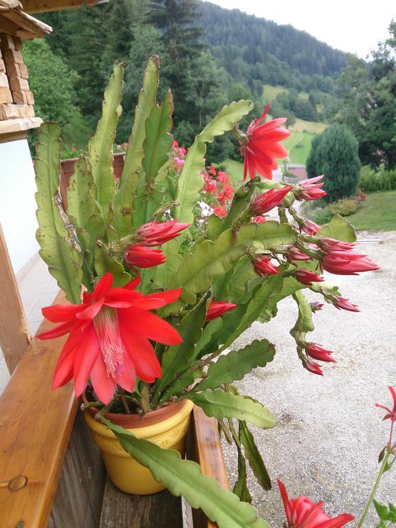 Haus Othmar Schabuss Pensjonat Bad Kleinkirchheim Zewnętrze zdjęcie