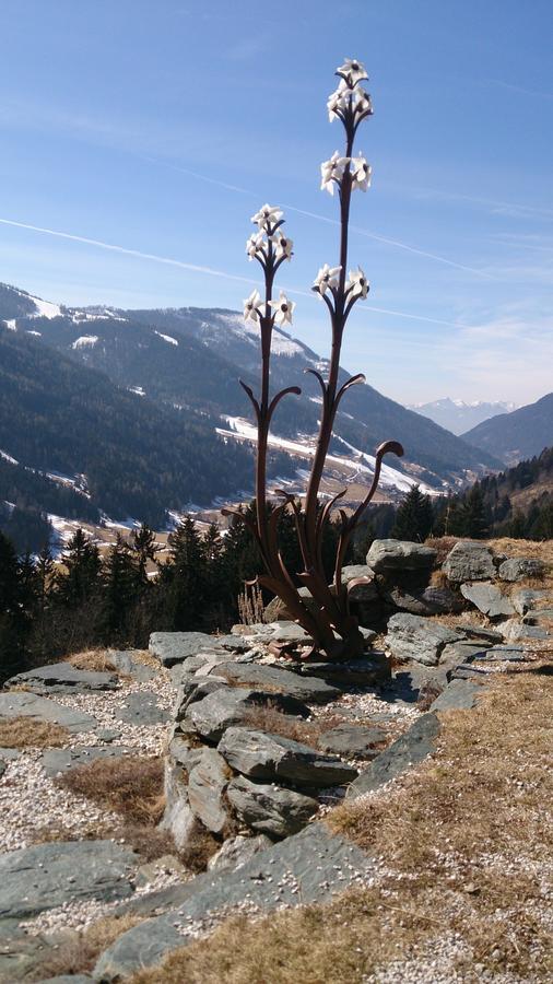 Haus Othmar Schabuss Pensjonat Bad Kleinkirchheim Zewnętrze zdjęcie